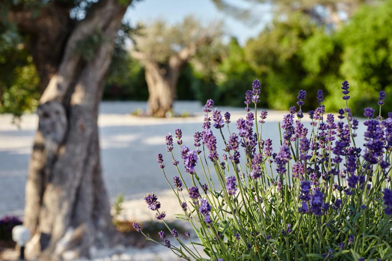 Agapanto Masseria Bed & Breakfast Конверсано Екстериор снимка